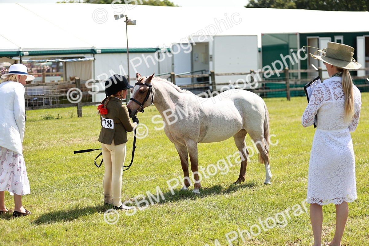 SBM_13638 - Class 108-109 - BSPS LIHS Open Gradle & Nursery Stakes