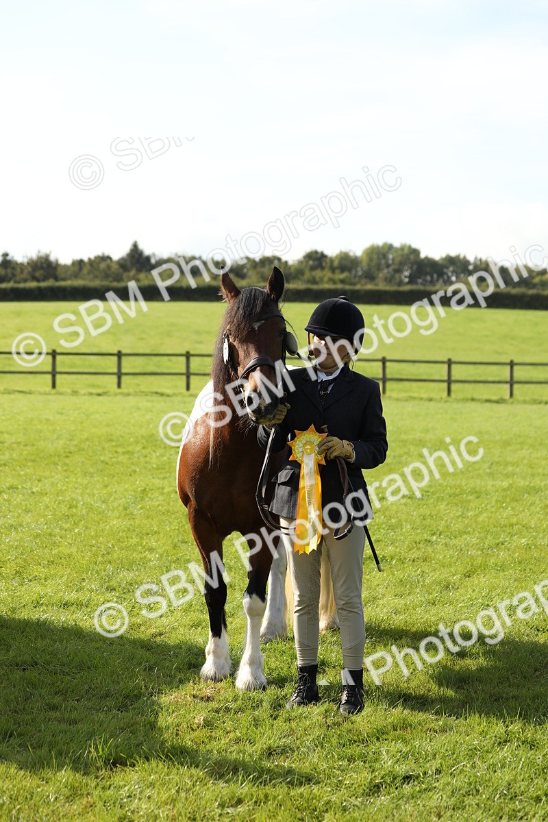 SBM_61002 - S43 - Coloured Pony In Hand