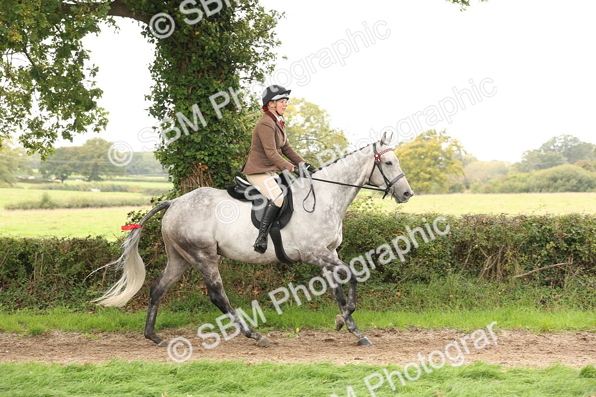 SBM_64209 - S65 - Riding Horse & Hack & Thoroughbred Ridden