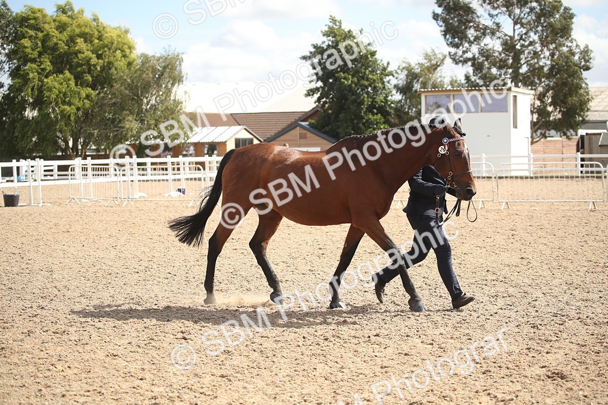 SBM_23442 - Class 604 - 2026 - Area IH Diamond