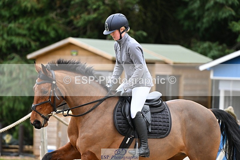 250201A-103506-00263 - Cls 01 Local Horse 90cm