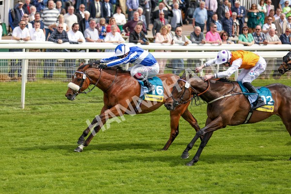 170523-Race 2-Bielsa-6859 - Race 2 2.25pm Churchill Tyres Handicap