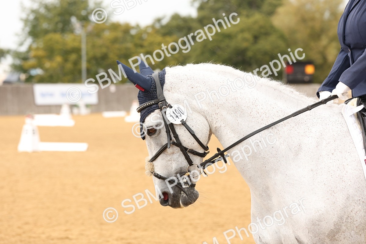 SBM_20308 - D10 - Small Tour Championship Prelim 2