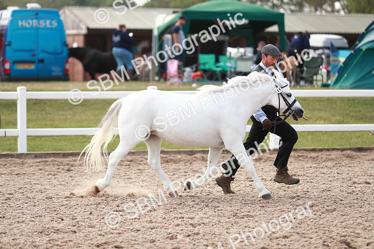 SBM_13833 - Class 209 IH Veteran Pony