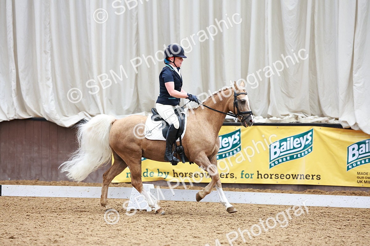 SBM_001218 - Class 5-6 - Novice 1-Elem 1