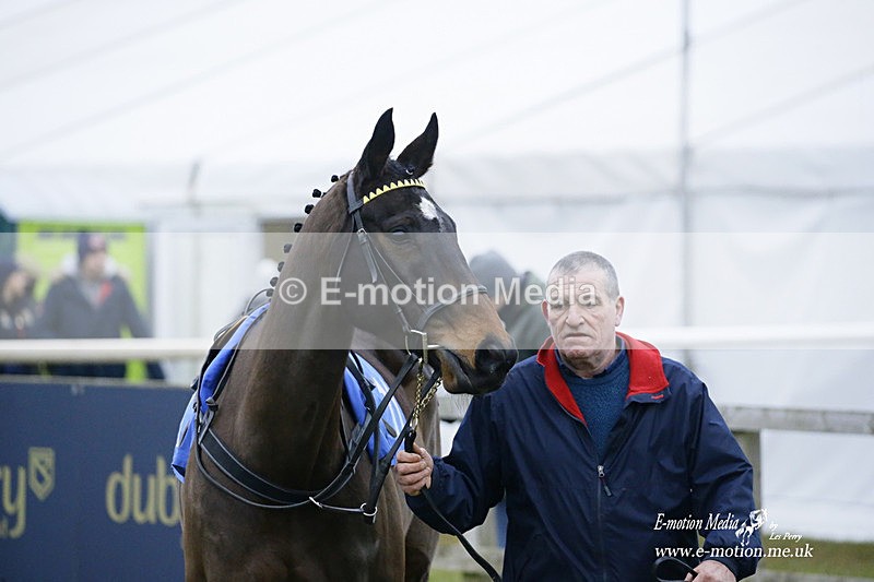 PtP 230122 729 - Cocklebarrow Races - Heythrop Hunt - 23/01/22