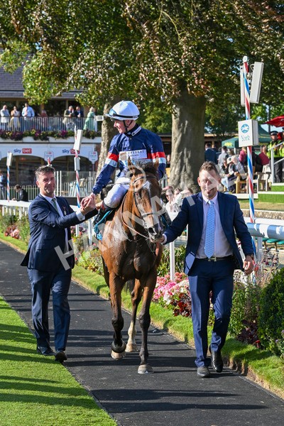 240824-Race 7-Sir Busker-2071 - Race 7 5.20pm Sky Bet Finale Handicap