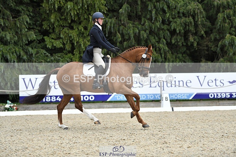 230525-144629-03179 - 323-CHESTNUT_BOBBY-Molly_Fletcher-WEDTrotUp+DR