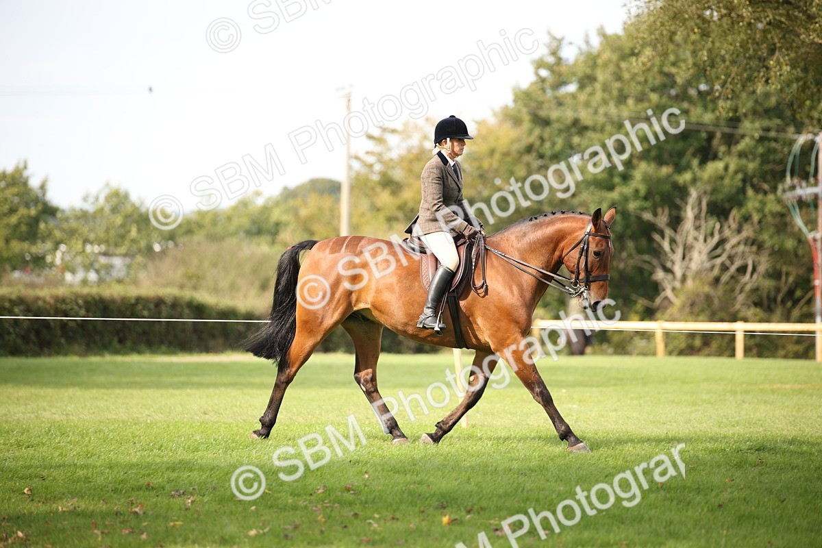 SBM_70366 - S66 - Hunter Ridden