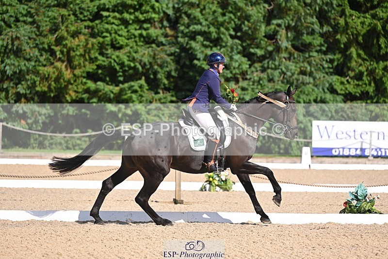 240809-162539-02376 - Preliminary Gold