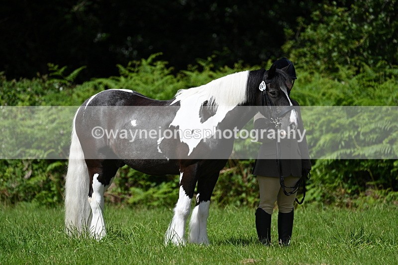 WJ7_1132 - Class 11 Condition & Turnout