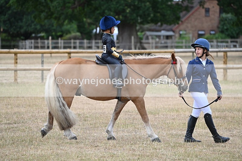 WJ6_8807 - Class 11 Fancy Dress