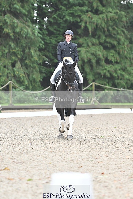 231019-103243-01888 - 101-RICARDO.COLOURS.II-Elizabeth.Wadey-DR