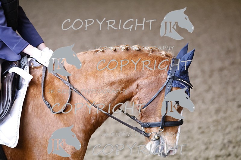 _R6A1273 - Class 1 walk trot 2022