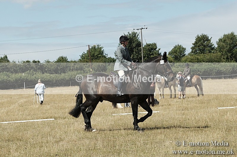 _PJP5817 - Dressage Classes BVRC Show 2018