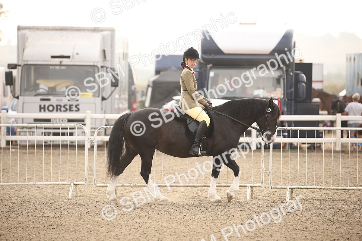 SBM_09815 - Class 401 Riding Club Pony