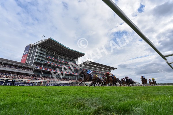 220825-Race 4-Asfoora-9394 - Race 4 3.35pm Coolmore Wootton Bassett Nunthorpe Stakes