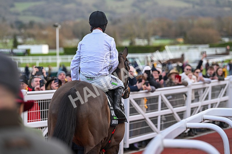 250125-Race 5-Constitution Hill-4603 - Race 5