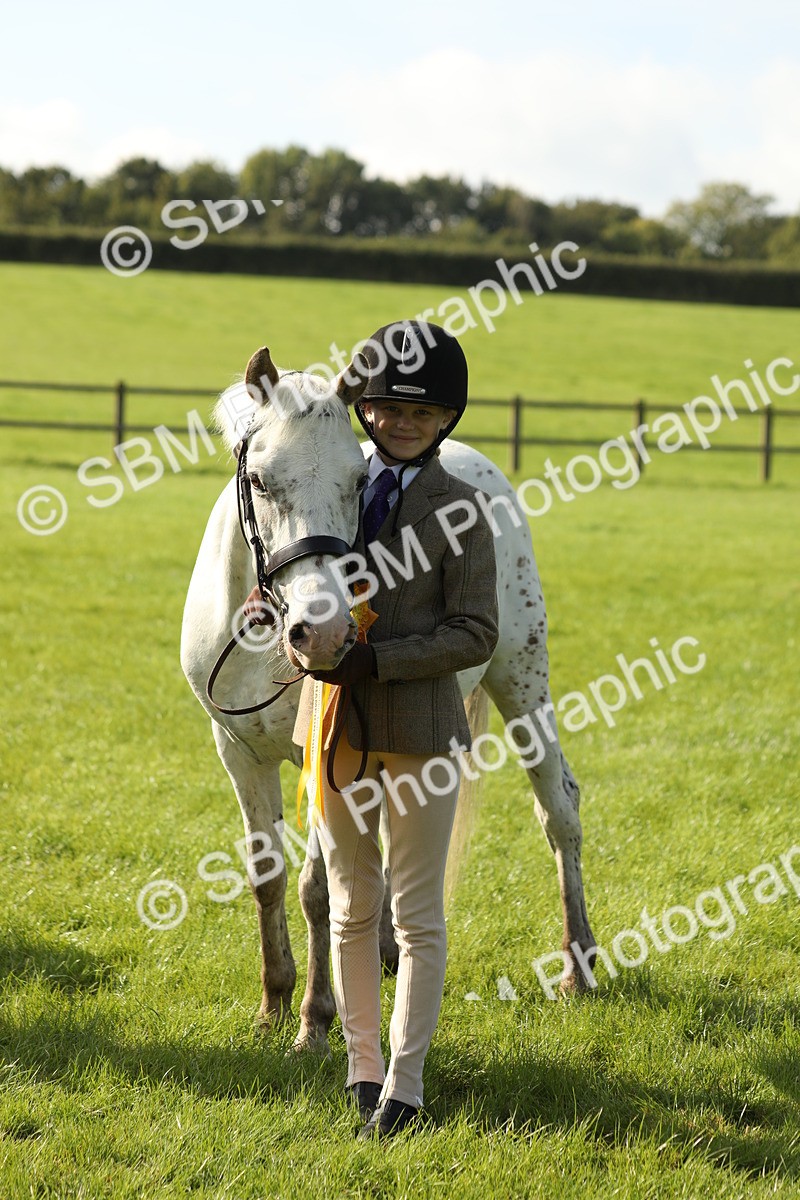 SBM_61008 - S43 - Coloured Pony In Hand