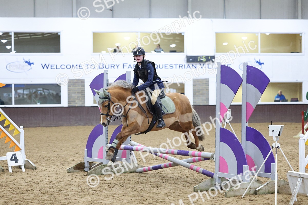 SBM_000990 - Class 3 - Christmas Tree Stakes - 60cm