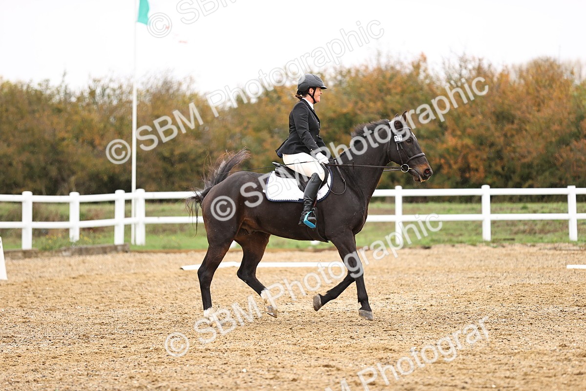 SBM_000779 - Novice 2
