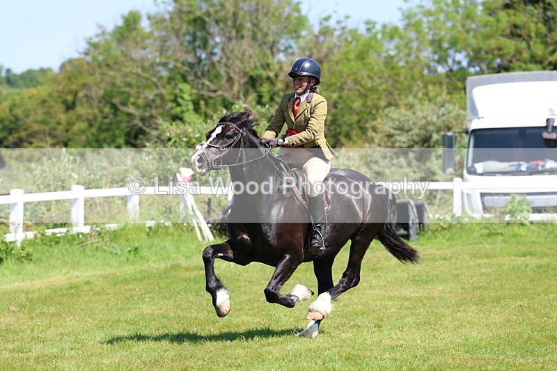 3E7A6776 - Working Hunter Pony Championship