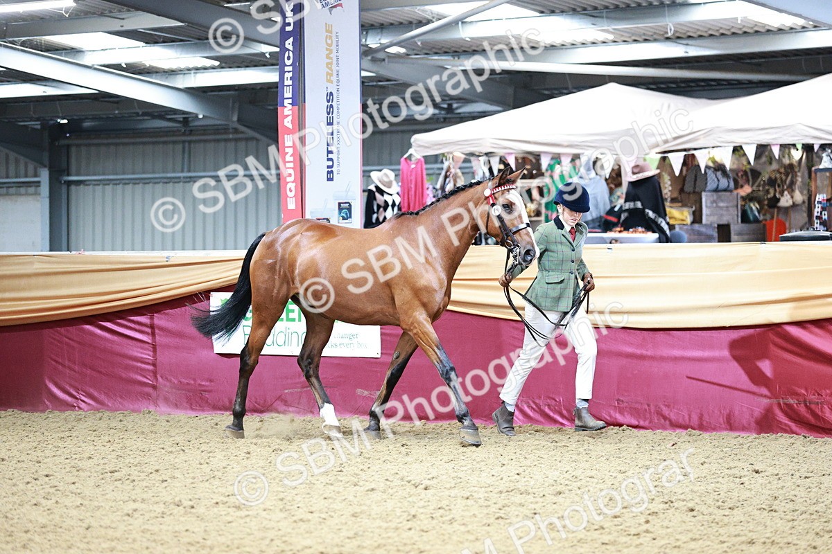 SBM_01135 - Class 3A - Area IH Pre-Vet