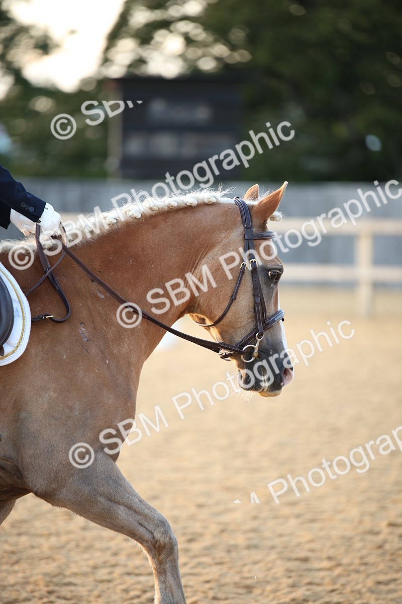 SBM_31573 - D11 - Small Tour Championship - Prelim 13