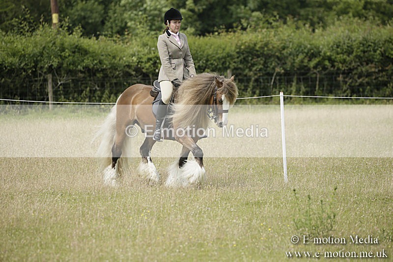 B230619-0424 - Bourne Valley Riding Club Summer Show 23/06/19