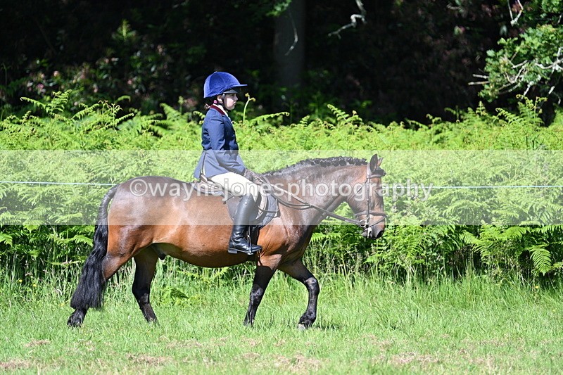 WJ7_0643 - Class 8 First Rally Pony