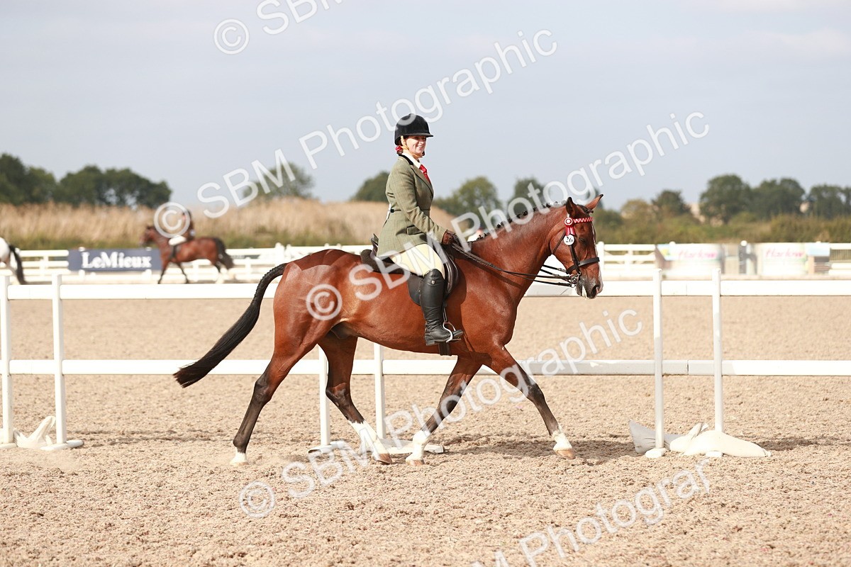 SBM_17471 - Class 215 Ridden Hack/ Riding Horse