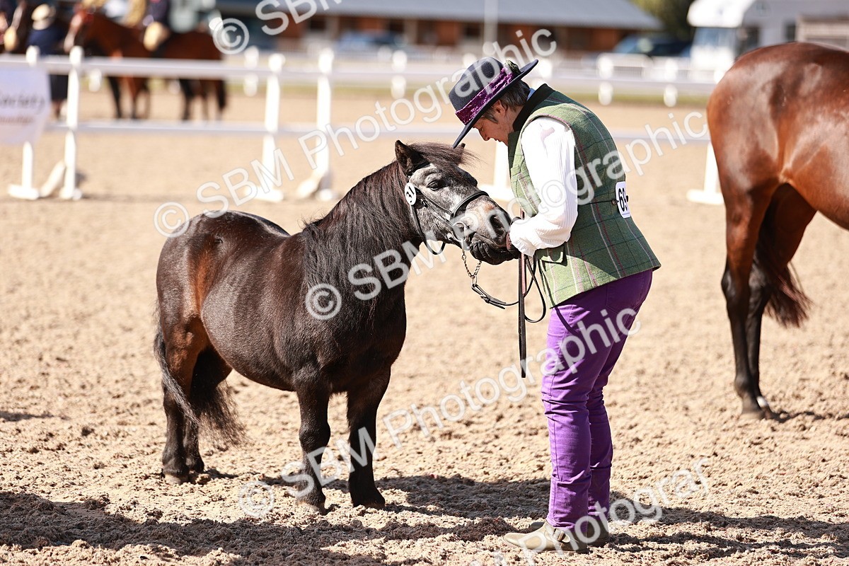 SBM_22826 - Class 705 - IH Combination 65+