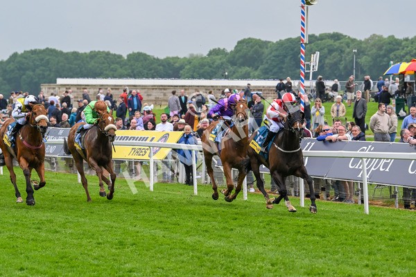 150524-Race 2-Aleezdancer-3830 - Race 2 2.45pm Churchill Tyres Handicap