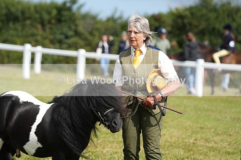 DSC05393 - Class 49: NPS Shetland 4 years and over