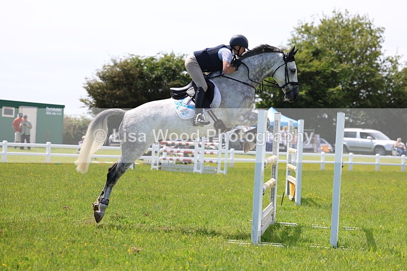 3E7A1333 - Class 12: Senior Foxhunter/1.20 open