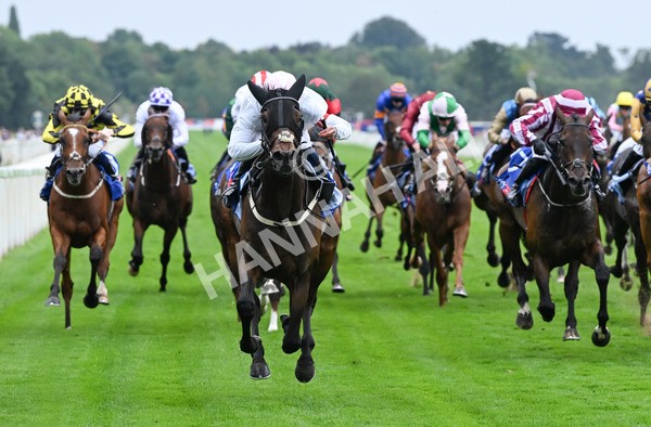 230825-121 Ethical Diamond - Race 4 3.35pm Sky Bet Ebor Handicap