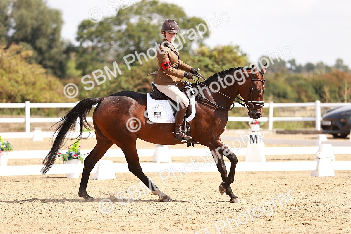 SBM_018423 - Class 17 - Novice 6