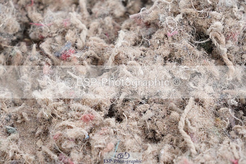 250505-135606-04863 - Cls 25+27 Club and Schools 90cm and 1m