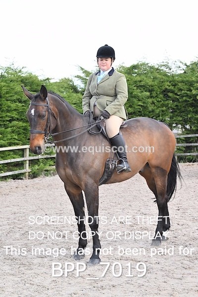 BPP_7019 - RING 1  (RIDDEN HORSES / IN HAND / VETERAN ETC)