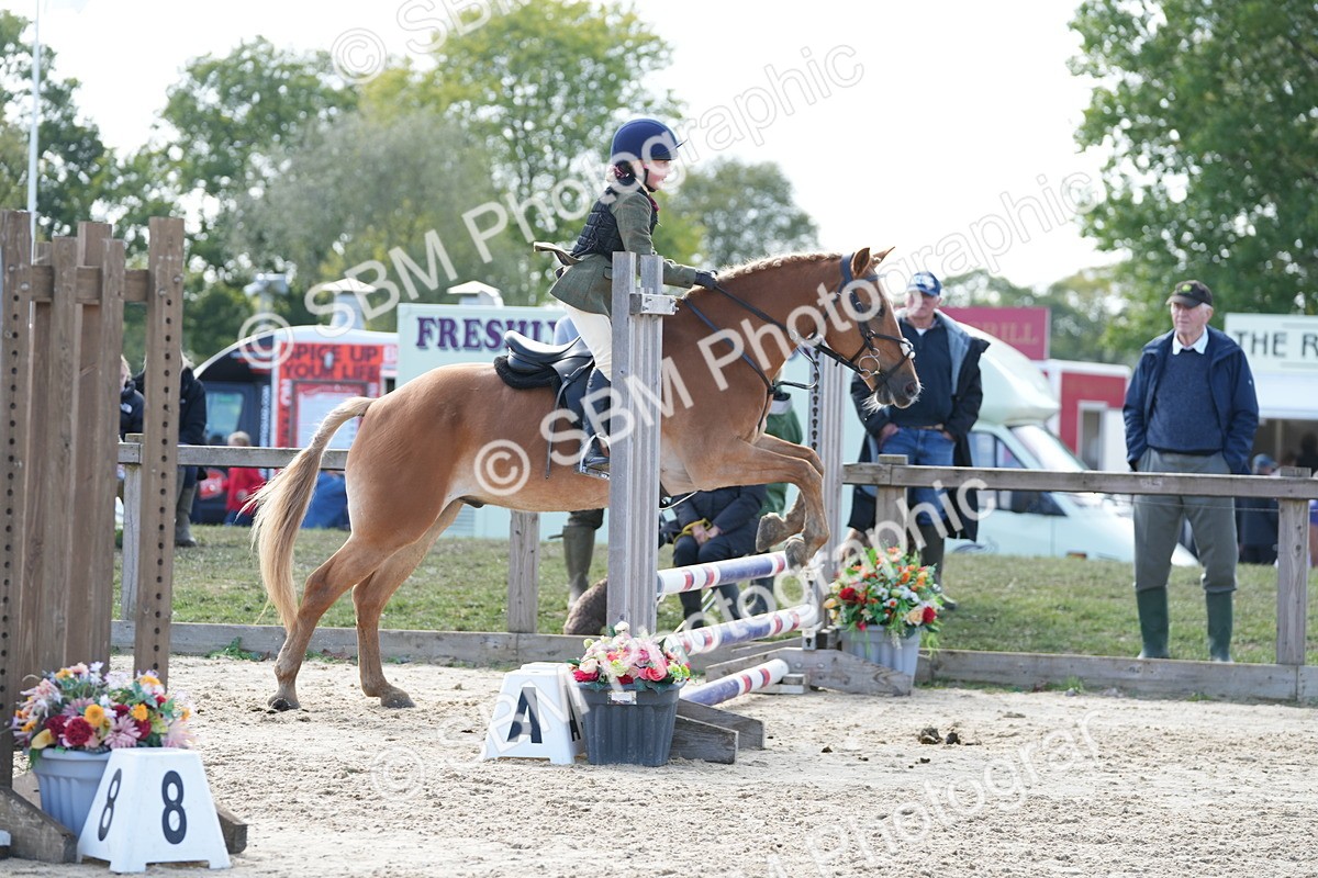 SBM_48473 - J7 - Junior Pony 60cm Championship