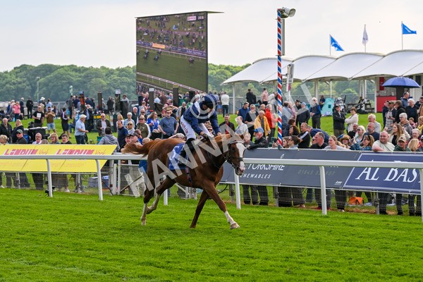 160524-Race 4-Economics-5974 - Race 4 3.45pm Al Basti Equiworld Dubai Dante Stakes