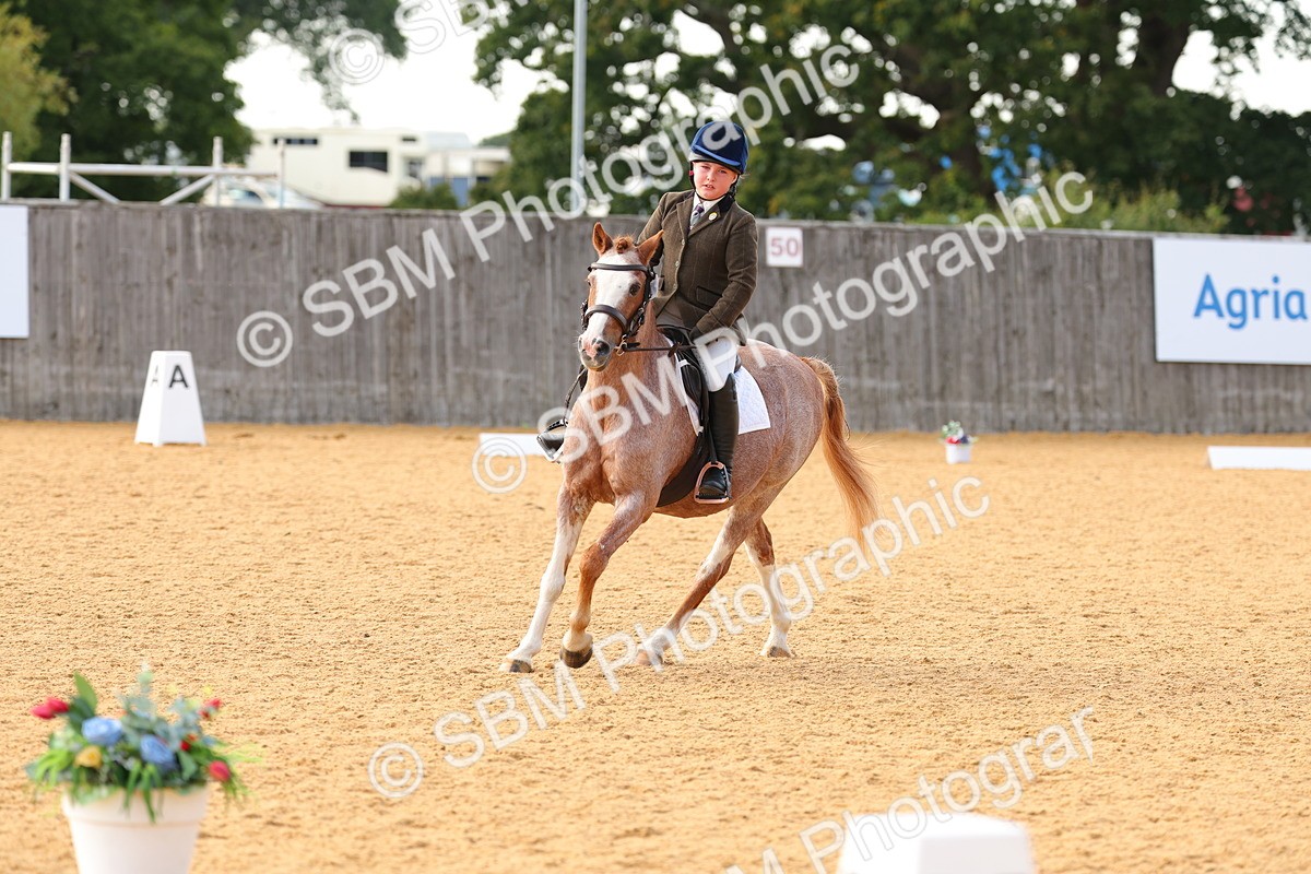 SBM_49738 - D24 - Junior Championship - Prelim 1