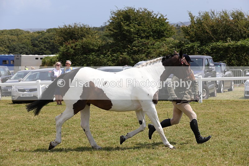 1X9A4827 - Class 35: Veteran In Hand