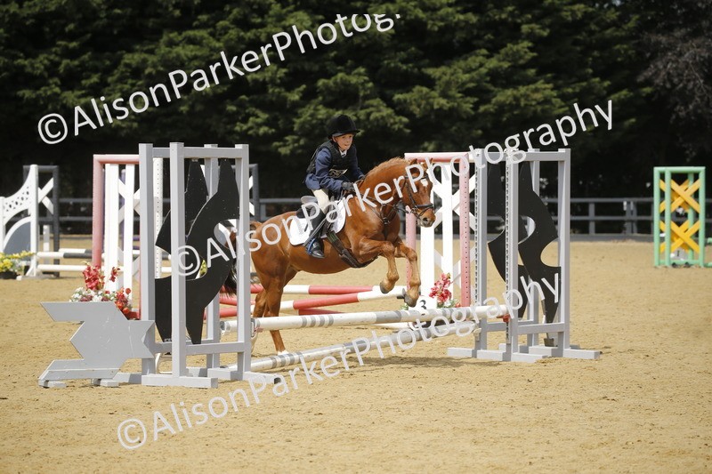 20250622-3995 - 50cm