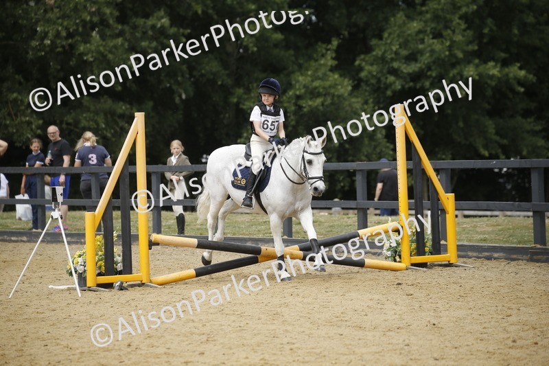 20250622-4713 - 50cm