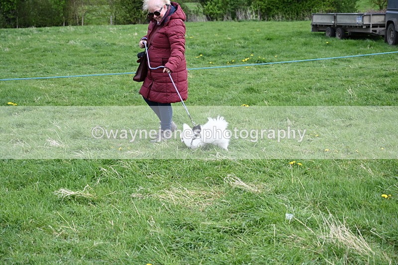 WJ6_8090 - Class 2 Best Pedigree