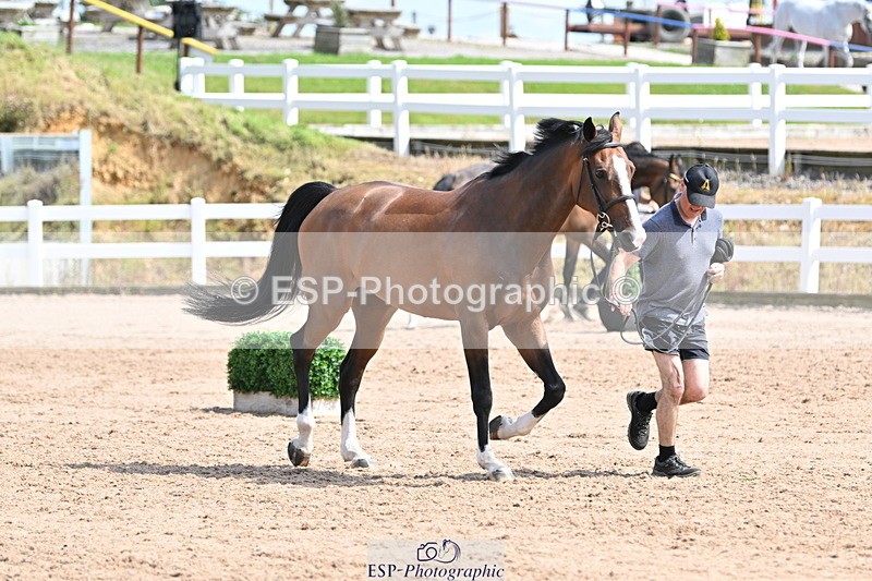 240717A-153427-02890 - Trot Up 3pm to 4pm