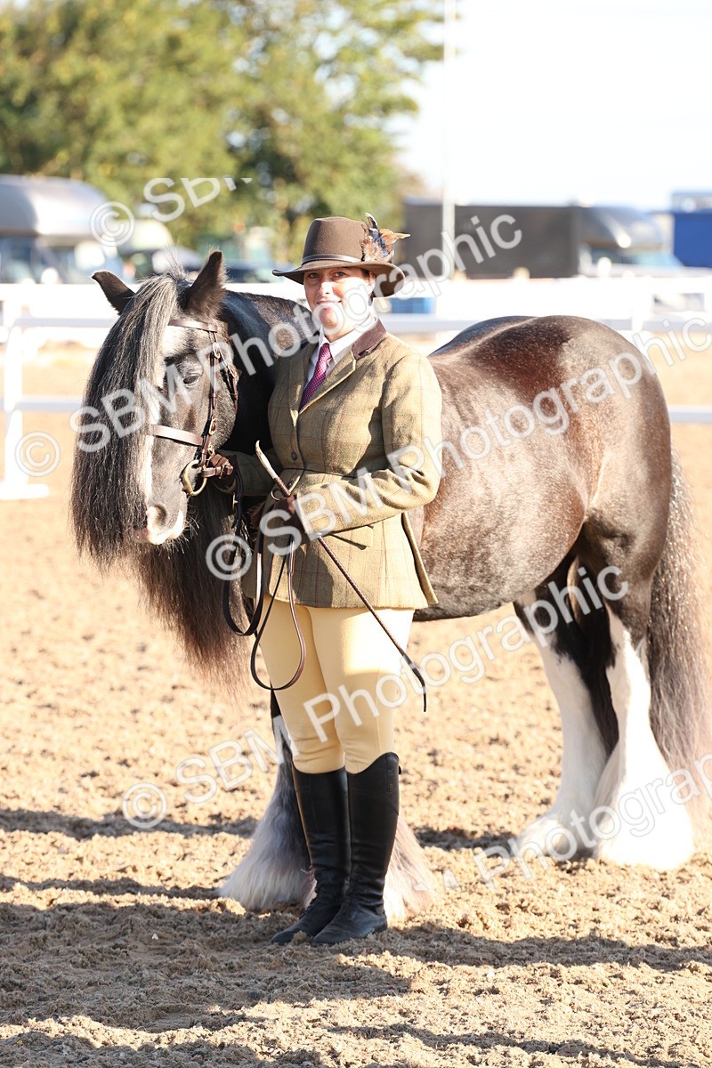 SBM_10786 - Class 201 - Best Turned Out - IH