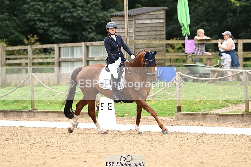 240811-102228-05000 - 110-Helen.Kitto-Da.Vinci.IV