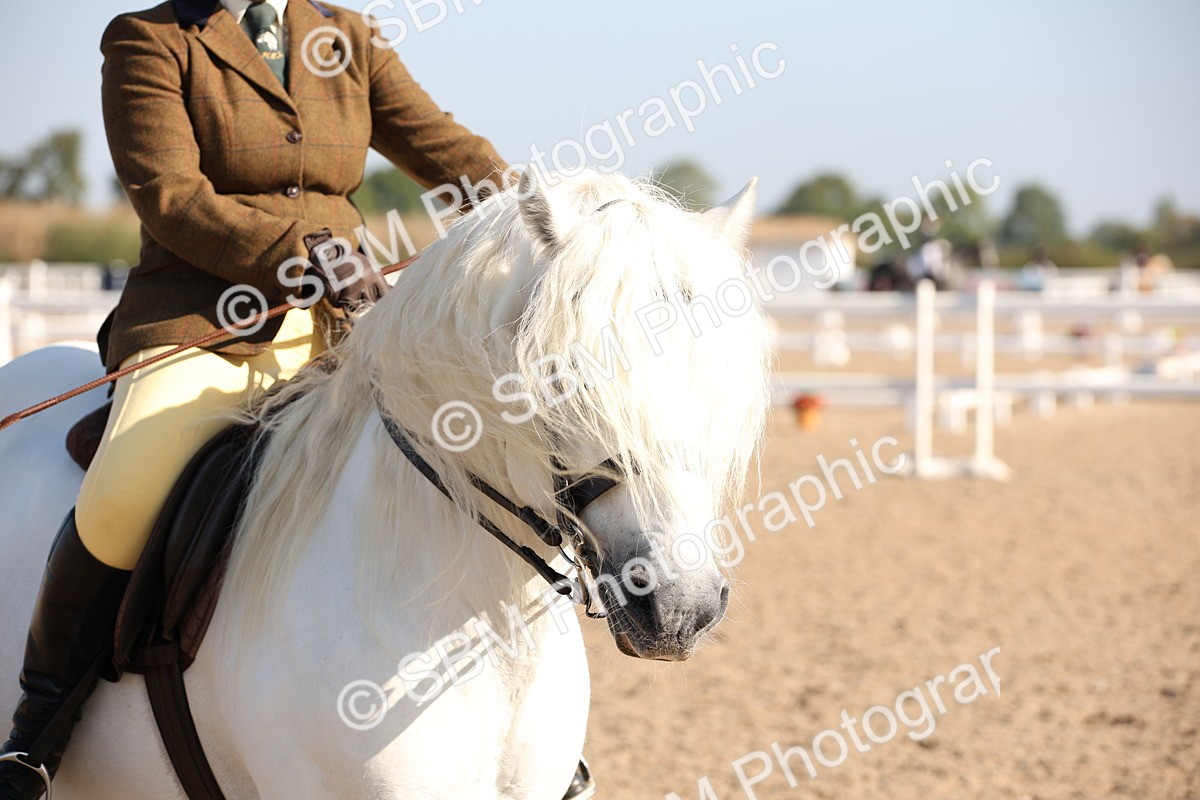 SBM_00739 - Class 14 Ridden M&M Wildcard